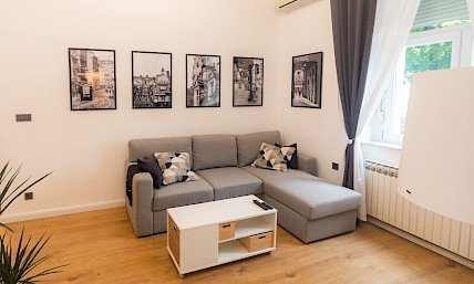 Apartment Asja